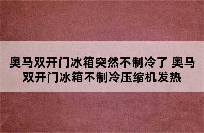 奥马双开门冰箱突然不制冷了 奥马双开门冰箱不制冷压缩机发热